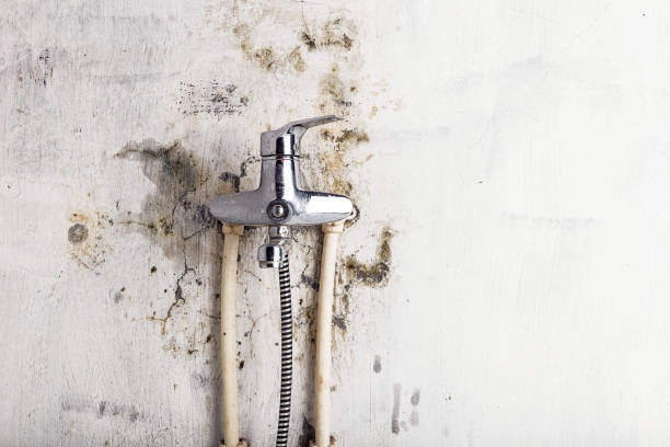 Mold Testing and Removal in Villa Hills, KY