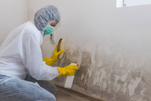 Crawl Space Mold Removal in Villa Hills, KY