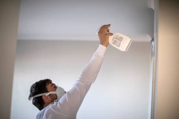 Best Attic Mold Removal  in Villa Hills, KY