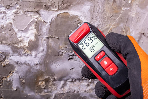 Best Black Mold Removal  in Villa Hills, KY