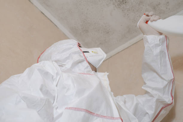 Best Crawl Space Mold Removal  in Villa Hills, KY