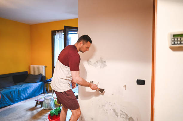 Best Fast Mold Removal  in Villa Hills, KY