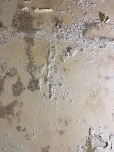 Best Emergency Mold Removal  in Villa Hills, KY