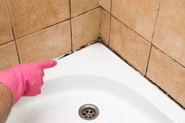 Best Black Mold Removal  in Villa Hills, KY